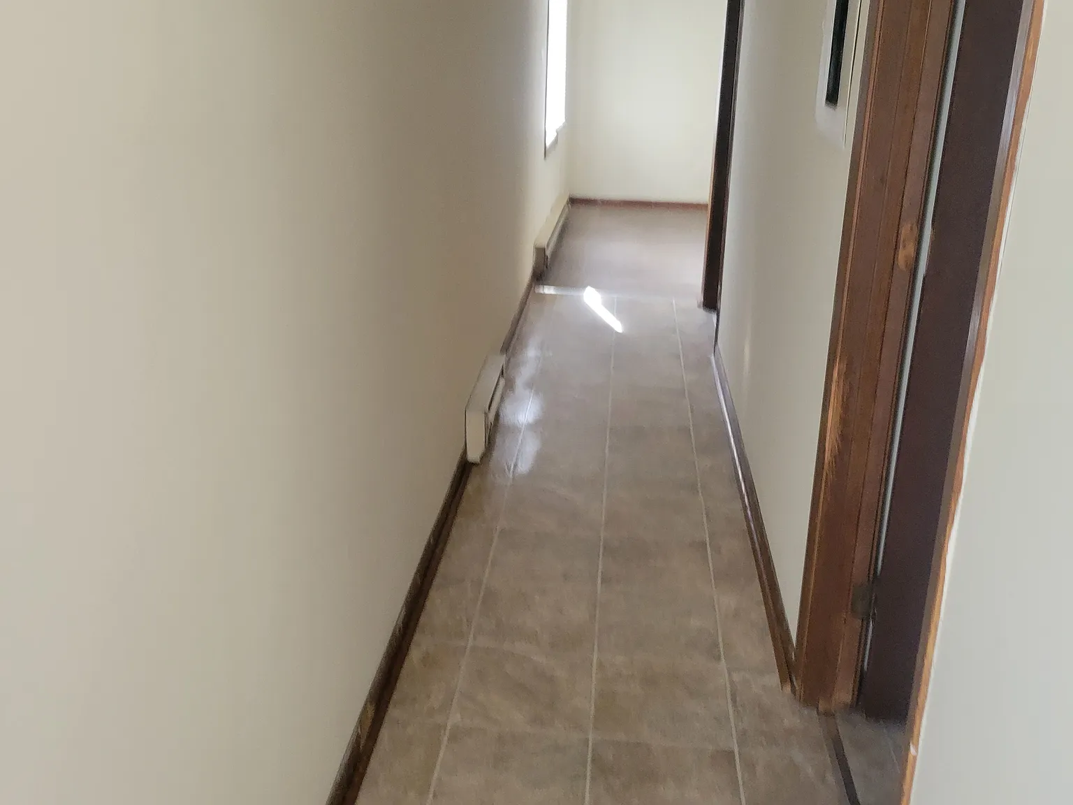 1 bed, 450 sqft, $825 — Photo 4