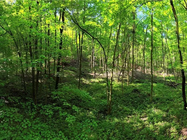 Hoover Rd, Danville, OH 43014