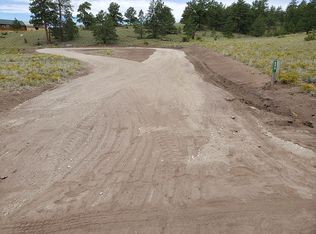 529 Bridle Path, Hartsel, CO 80449