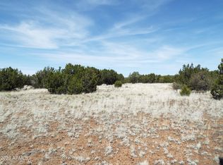 8237 Of Rd #8050-98, Concho, AZ 85924