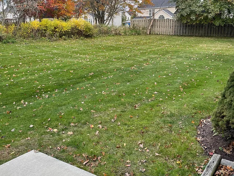 Extra large Private Back yard access.