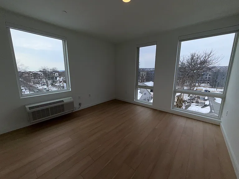 1008 South Ave #401 — Photo 7