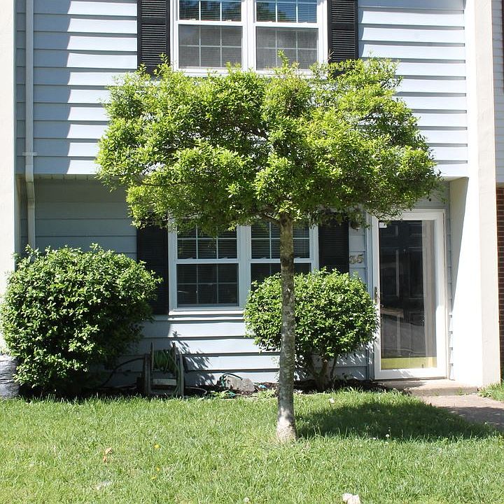 1st image of 35 Roffman Pl