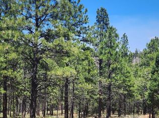 4975 Morning View Dr LOT 2, Happy Jack, AZ 86024