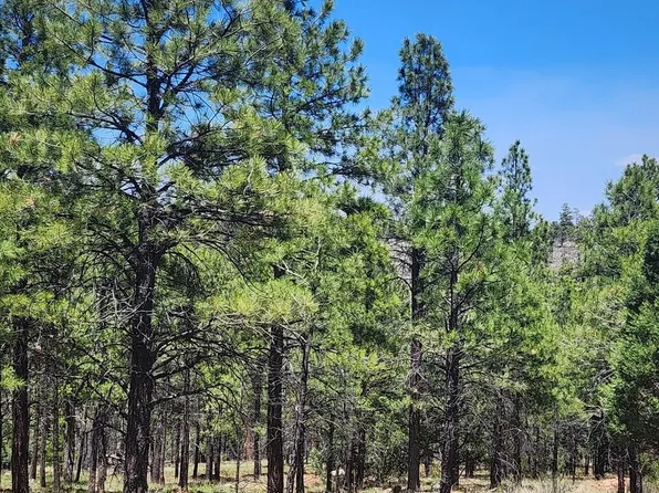 4975 MORNING VIEW Drive #2, Happy Jack, AZ 86024