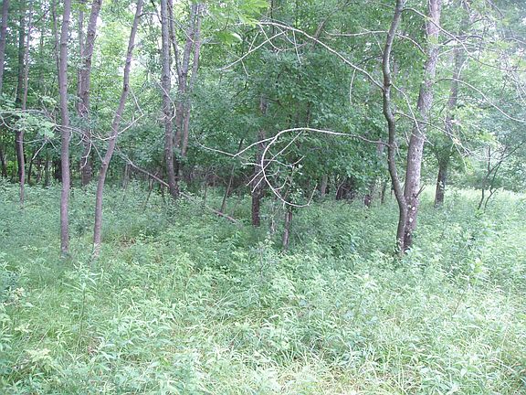 5th image of 4th Add Margaret Ln Lot 12