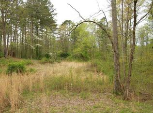 8454 Wallace Tatum Rd, Cumming, GA 30028