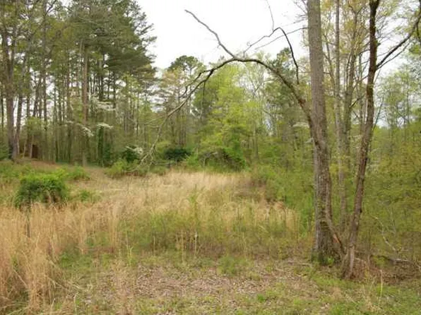 8454 Wallace Tatum Rd, Cumming, GA 30028