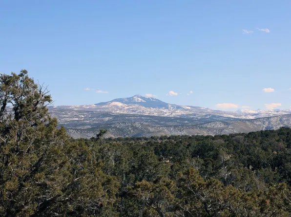 TRACT 1 Bostwick Park Rd, Montrose, CO 81401