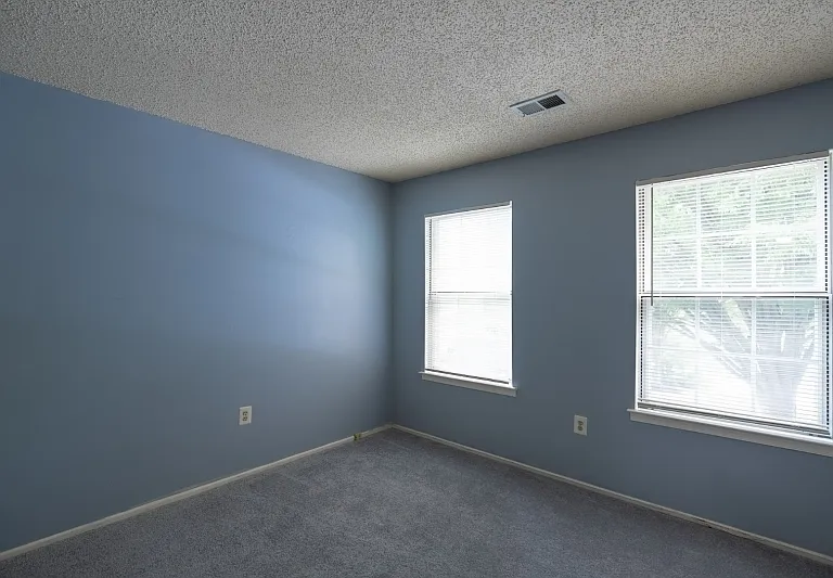 361 Hadleigh Ln — Photo 22