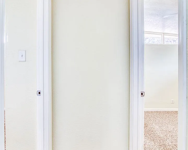 8818 Mount Elbert Dr — Photo 8