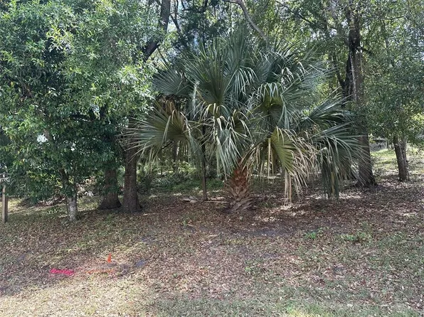 E ELM DRIVE LOT 10, ORANGE CITY, FL 32763