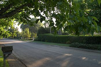 Quiet green street