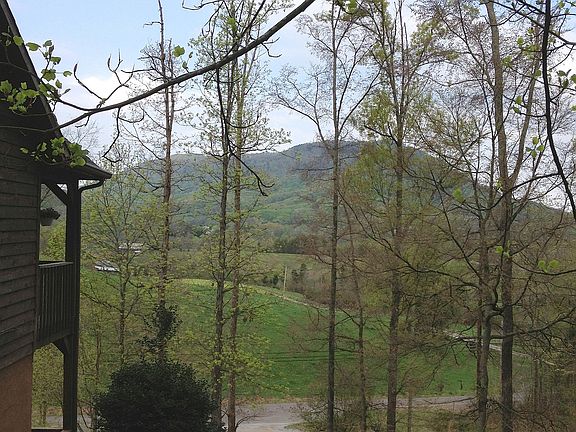 view from back deck 