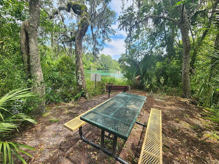 19497 SW 77th Pl — Photo 49