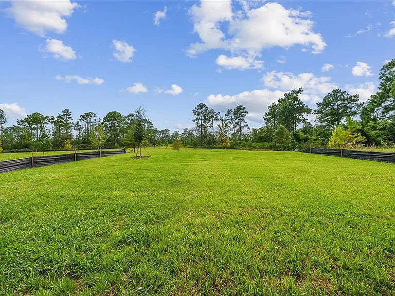 12890 Eureka Lemon Dr — Photo 32