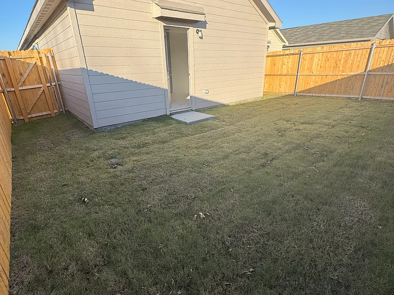 Backyard - 3