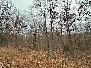 4th image of Steven Ln #16