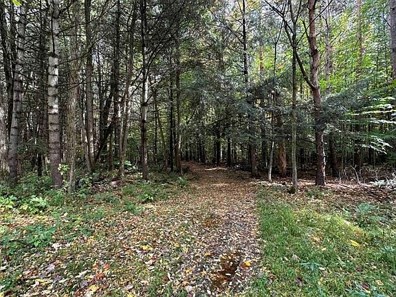 4th image of 8248 Gallagher Rd Lot 9