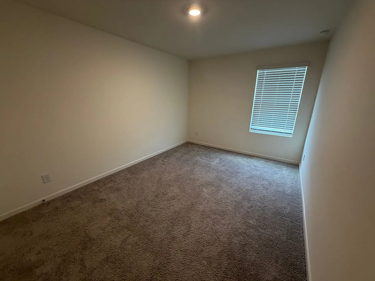303 Hyde Park — Photo 3