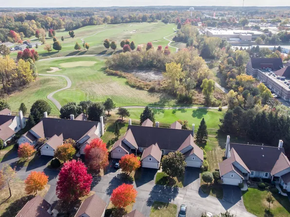 229 Pierce Lake Dr, Chelsea, MI 48118