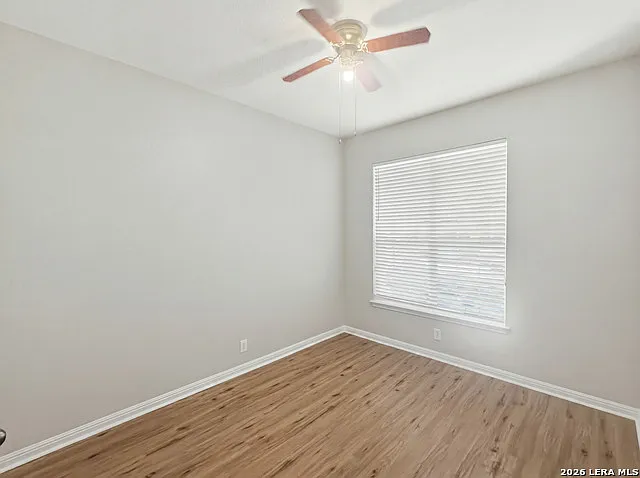 213 Lieck Cv — Photo 3