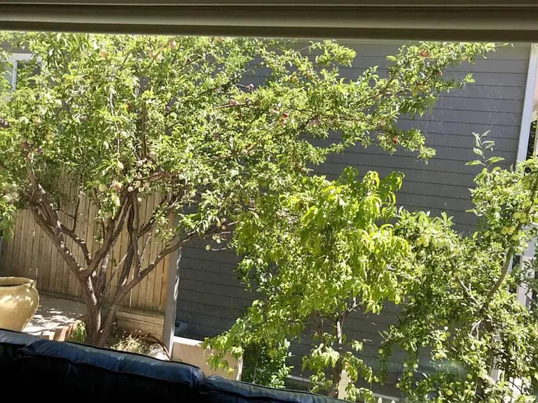 Window View