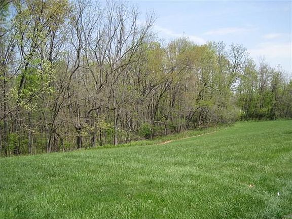 View of Peaceful Setting