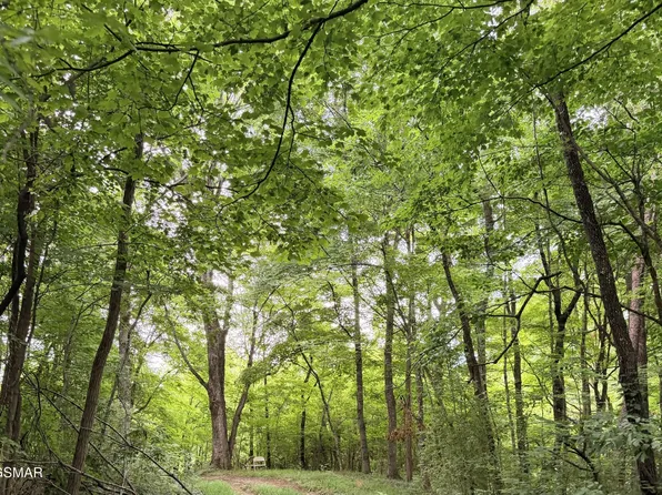 0 E Highway 25 Lot 70-0, Newport, TN 37821