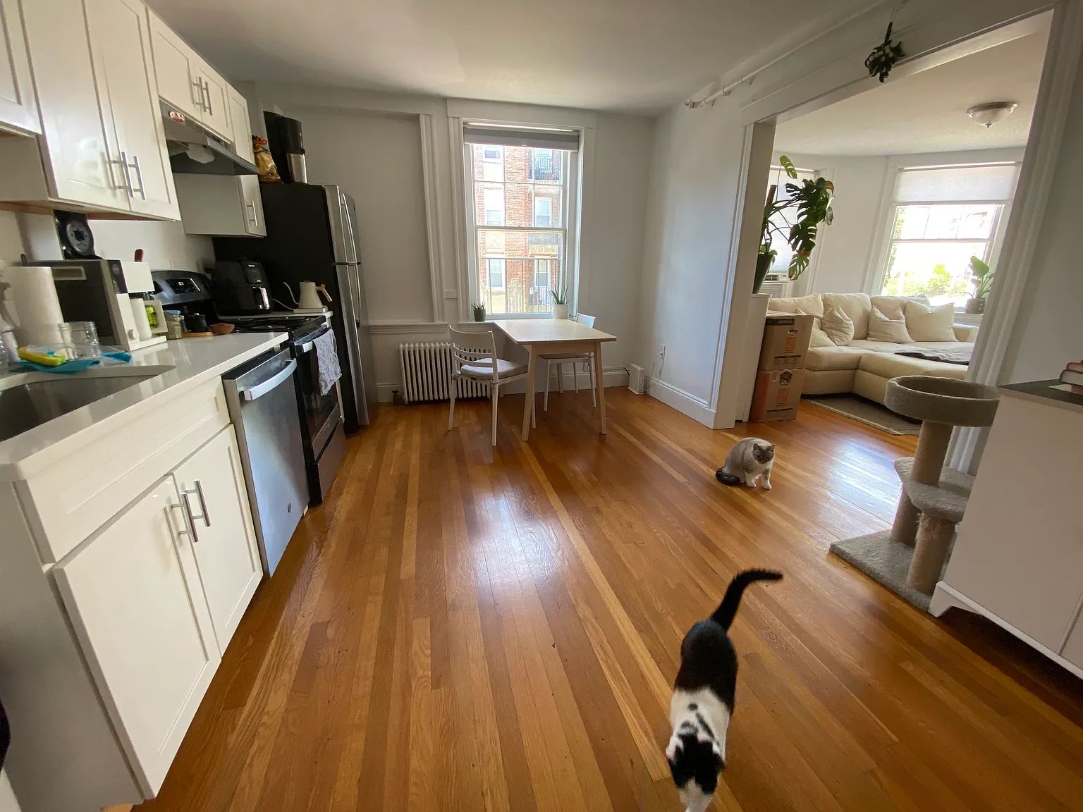 1 bed, 750 sqft, $2,600 — Photo 4