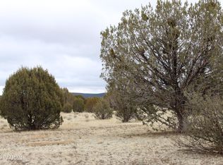Anvil Rock Rd, Seligman, AZ 86337