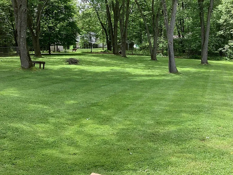 Private yard
