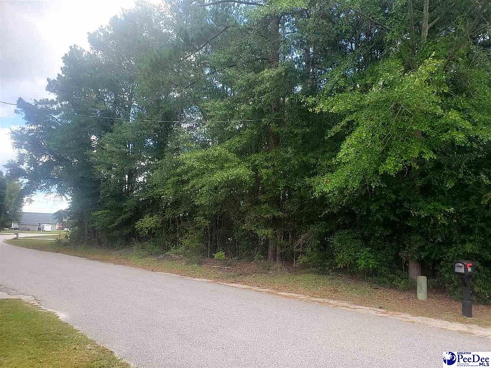 2nd image of Dogwood Ave