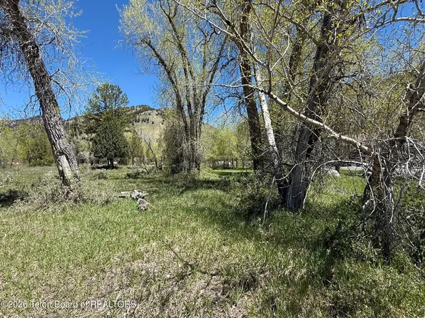 LOT 157 Paintbrush Ct, Thayne, WY 83127