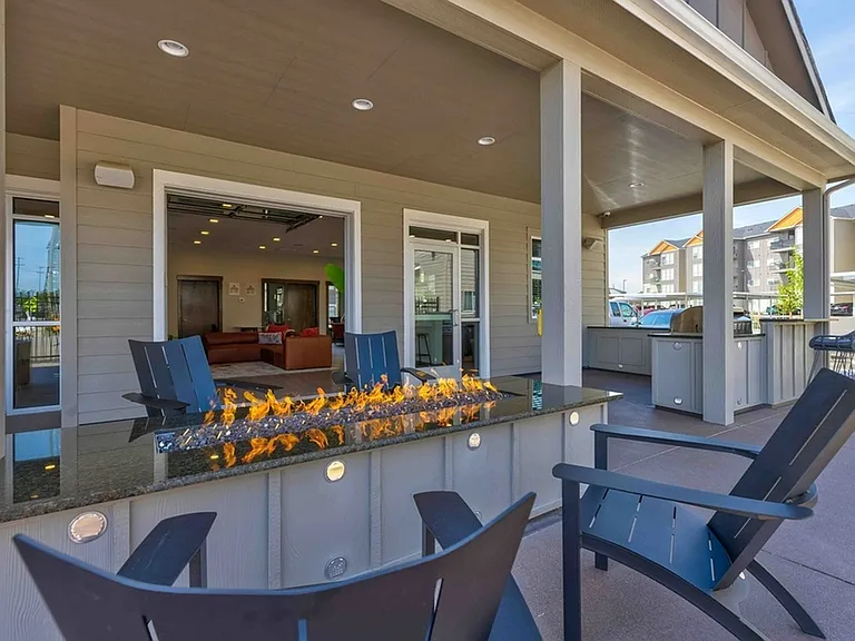 Community Fire Pit & BBQ