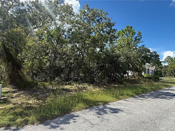 4th image of 41 Lupine St