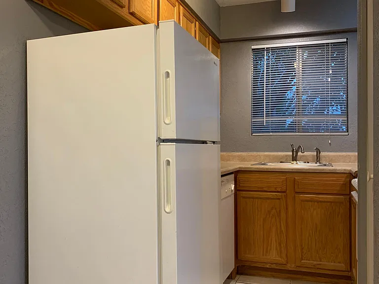 1810 E Blacklidge Dr #718 — Photo 9