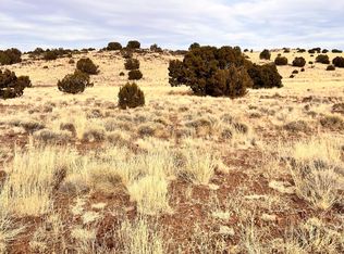 088B Cinder Dr, Concho, AZ 85924