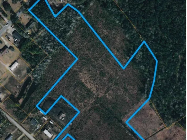 16.94 acres Highway 905, Conway, SC 29526