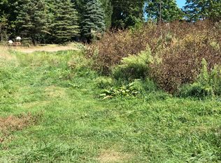 4802 E Pratt Rd, Saint Johns, MI 48879