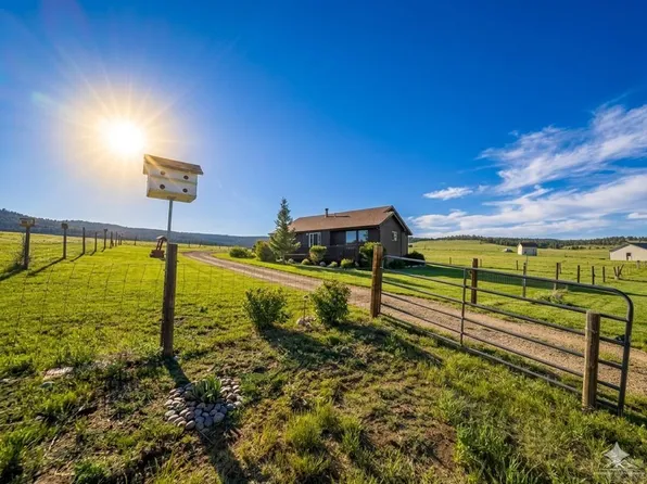 145 S Deer Mountain Rd, Florissant, CO 80816