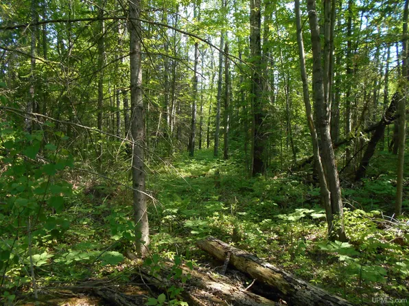 15893 Highway M #35, Rock, MI 49880