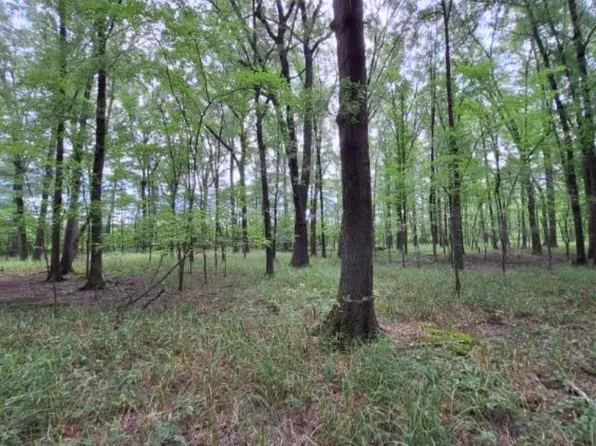 0 Greenwood Ave, Searcy, AR 72143