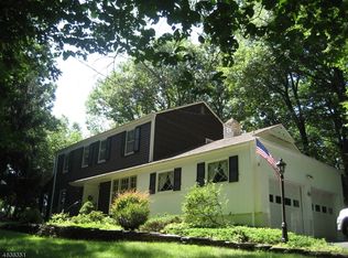 8 Long Ridge Rd, Randolph, NJ 07869