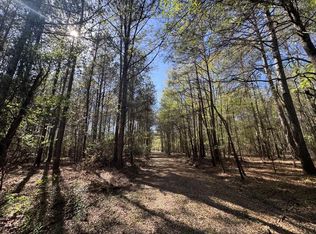 County Road 3930, Colmesneil, TX 75938