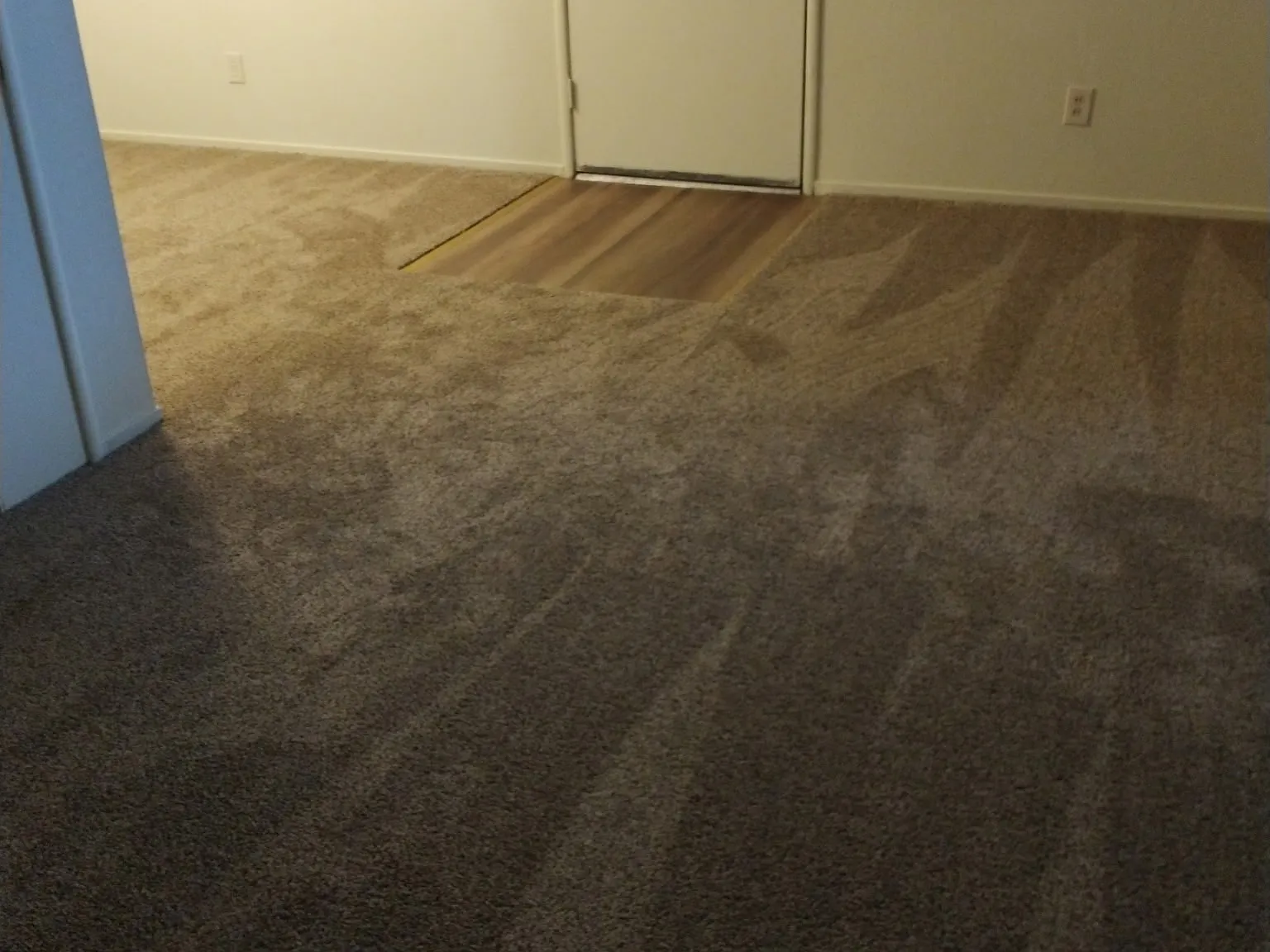 1 bed, 650 sqft, $1,495 — Photo 3