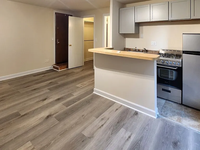 1504 N Dearborn Pkwy, Chicago, IL — Photo 45