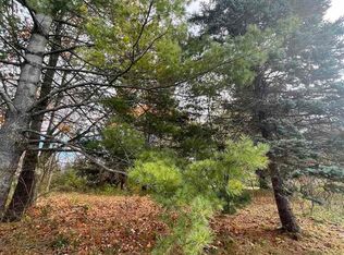 S Chandler St, Leland, MI 49654