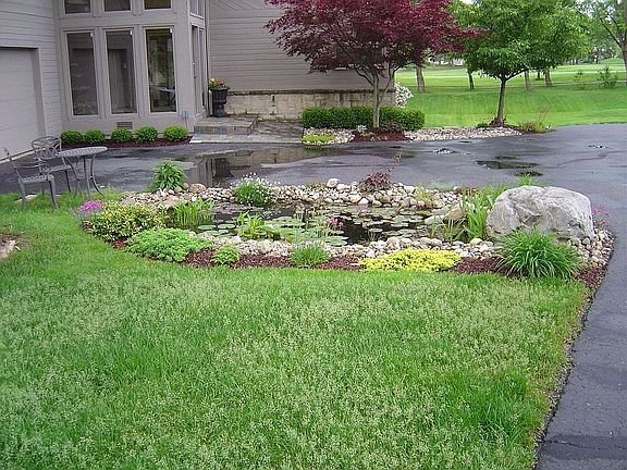 Ornamental Koi Pond