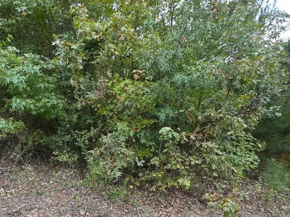 354 Harrison Ave, Camden, AR 71701